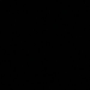 Meet your Posher, Bennie